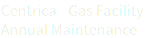 Centrica - Gas Facility Annual Maintenance